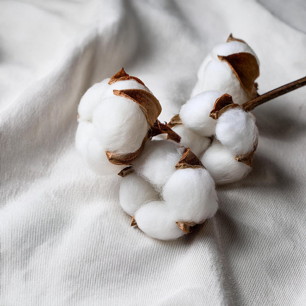 <h2>Made of 100% organic cotton</h2>